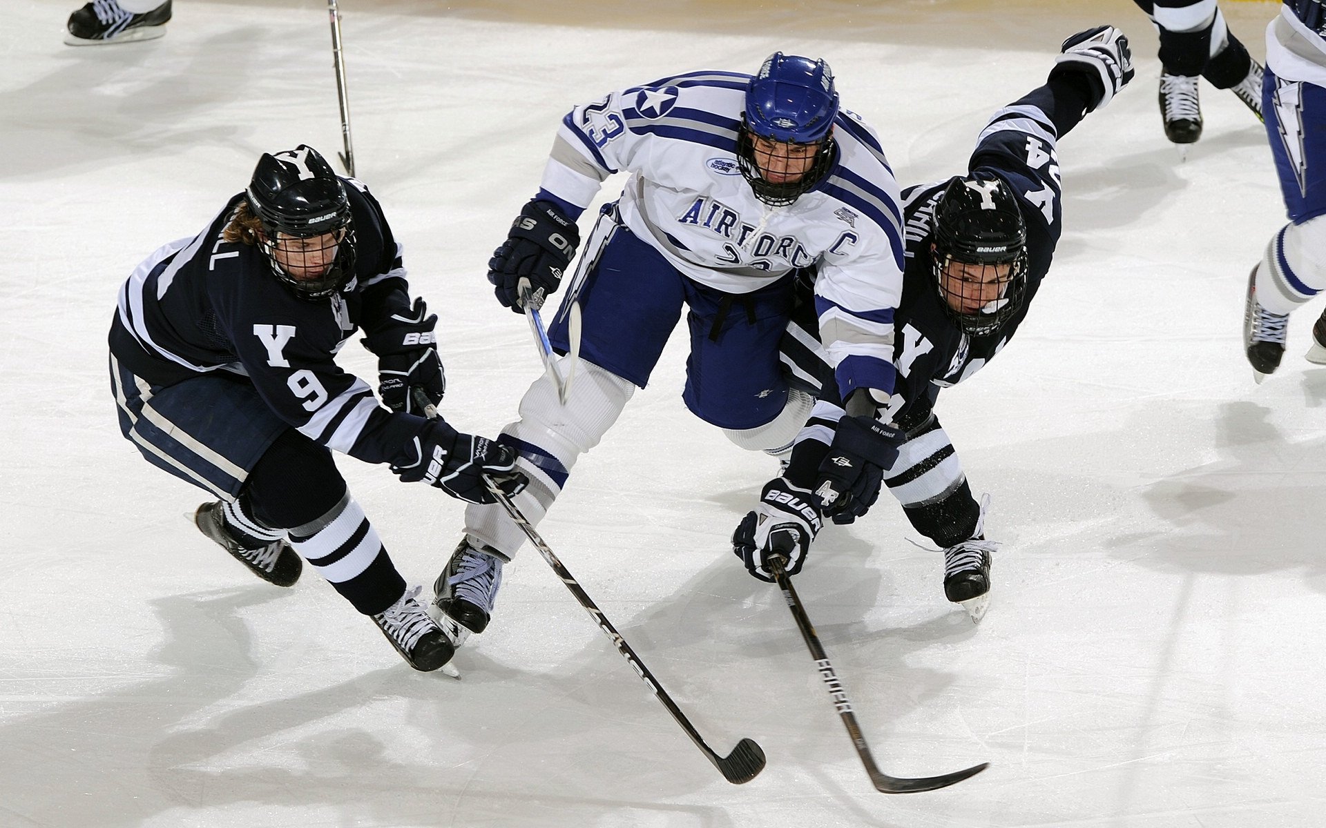 西部冠军争夺激烈，各队拼尽全力，西部冠军是谁